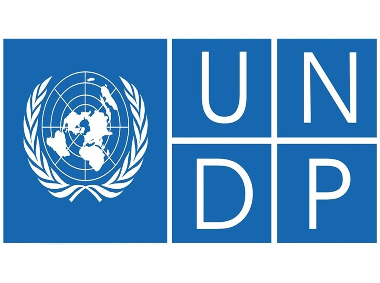United Nation Development Program pfm client
